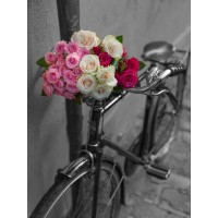 Assaf Frank - Bunch of Roses on bicycle, Paris, France