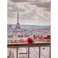 Assaf Frank - Rose on balcony railing with Eiffel Tower in background, Paris, France