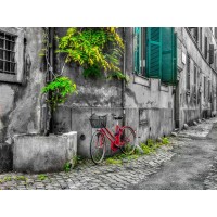 Assaf Frank - Bicycle outside old building, Rome, Italy