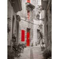 Assaf Frank - Narrow street through traditional maltese houses in Birgu, Malta