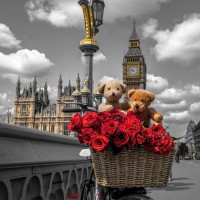 Assaf Frank - Bicycle with bunch of flowers on Westminster Bridge, London, UK