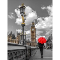 Assaf Frank - Tourist with an umbrella on Westminster Bridge, London, UK