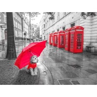 Assaf Frank - Dog with umbrella in London