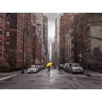 Assaf Frank - Tourist with yellow umbrella on street of Manhattan, New York