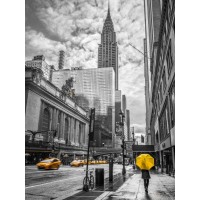 Assaf Frank - New York city scape with Chrysler Building, FTBR-1841