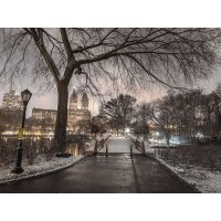Assaf Frank - Evening view of Central park-New York