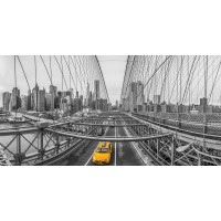 Assaf Frank - Brooklyn bridge, New York