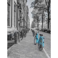 Assaf Frank - Bicycle parked on the sidewalk-Amsterdam