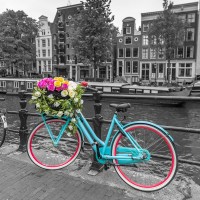 Assaf Frank - Bicycle with bunch of roses on bridge-Amsterdam