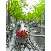 Assaf Frank - Bicycle with bunch of flowers by the canal-Amsterdam