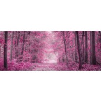 Assaf Frank - Pathway through Autumn forest