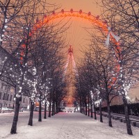Assaf Frank - London Eye at night with trees in the foreground lit with lights and snow on the pathway-London-UK