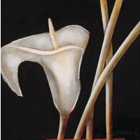 Beate Emmanuel - Lily in Sepia I