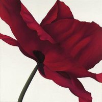 Yvonne Poelstra-Holzhaus - Amazing Poppies I