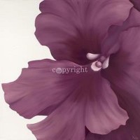 Yvonne Poelstra-Holzhaus - Violet Flower I