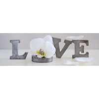 Zen Orchid - Love