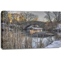 New York City - Central Park -  The cold Winter Is Coming