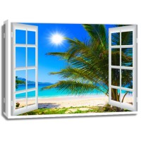 Beach Palm Tree Window
