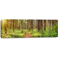 Renée Pehr - Bright Forest Path