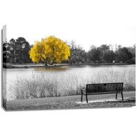Karina Zampini - Yellow Tree View From Bench