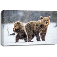 Bear - Mama And Son In Snow