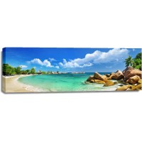 Fred Mouse - Panorama view of Beach With Stones