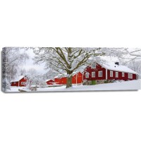 Codey Wicks - Winter - Red House Village