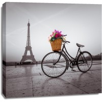 Assaf Frank - Bicycle with a basket of flowers next to the Eiffel tower