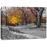 Assaf Frank - Pathway through Central Park, New York