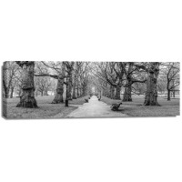 Assaf Frank - Avenue of trees, Green Park, London, FTBR-1839
