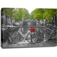 Assaf Frank - Bicycle with bunch of flowers by the canal, Amsterdam