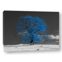 Assaf Frank - Tree on a hill-blue