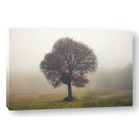 Igor Vitomirov - Tree In The Mist