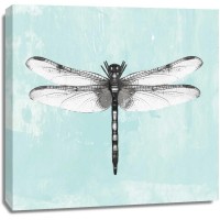 PI Galerie - Dragonfly I