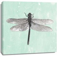 PI Galerie - Dragonfly II