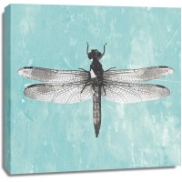 PI Galerie - Dragonfly III