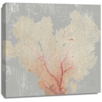 Aimee Wilson - Blush Coral I 