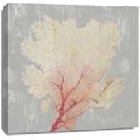 Aimee Wilson - Blush Coral II 