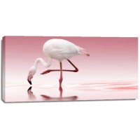 Reindl - Flamingo 