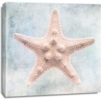 Christine Zalewski - Blue Cream Starfish 
