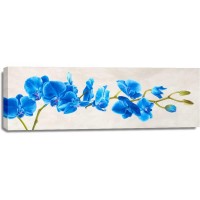 Shin Mills - Blue Orchid
