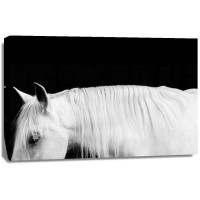 Samantha Carter - White on Black I