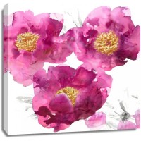 Vanessa Austin - Pink Bloom II