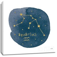 Moira Hershey - Horoscope Aquarius