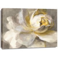 Danhui Nai - Abstract Rose