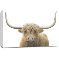 James Wiens - Highland Cow