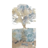 Stephane Fontaine  - Water Tree II