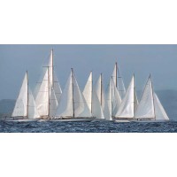 Xavier Ortega - Sailing Team