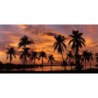 Mike Jones  - Tropical Sunsets I