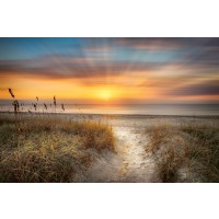 Celebrate Life Gallery - Sandy Walk At The Dunes